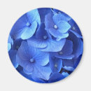 Recherche de hortensia bleu magnets Pour tous