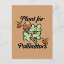 Recherche de planteur cartes postales Jardinier