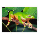 Zoek naar suriname briefkaarten Kleurrijk