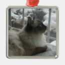 Zoek naar ragdoll ornamenten Kat