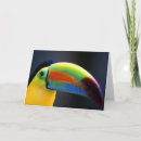 Zoek naar toekan ontwerp kaarten Tropisch