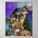 Zoek naar wolf maan posters Natuur