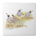 Recherche de watercolor carreaux Oiseau