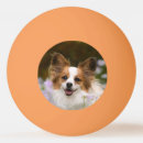 Recherche de tête balles ping pong Animal