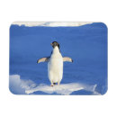 Recherche de je glace magnets Drôle