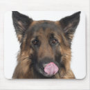 Recherche de bruxelles tapis souris Dog