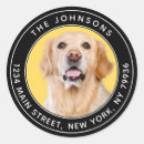 Recherche de petit chien blanc autocollants Élégant