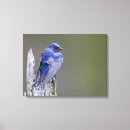 Recherche de gary impressions sur toile Animal
