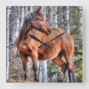 Zoek naar stallion klokken Dieren