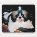 Recherche de tzu shih tapis souris Mignon