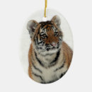 Zoek naar tijger ornamenten Sneeuw