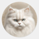 Recherche de persan chat autocollants Perse