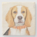 Zoek naar beagle onderzetters Schilderij