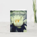 Recherche de lotus photographie Lièvre