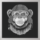 Recherche de petit singe posters Chimpanzé