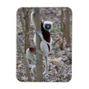 Recherche de visuels magnets Contact visuel