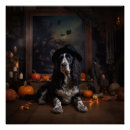 Zoek naar engelse cocker spaniël posters Hond