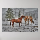 Zoek naar palomino posters Paardenfotografie
