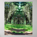 Recherche de horreur photographie Forêt