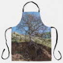 Recherche de racine tabliers Arbre