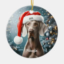 Zoek naar weimaraner ornamenten Schattig