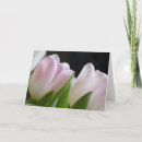 Recherche de tulipes vœux cartes Photographie
