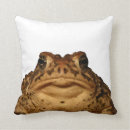 Recherche de amphibie coussins Crapaud