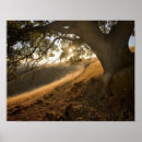 Recherche de louche posters La californie
