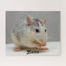 Zoek naar ratten puzzels Muizen