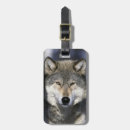 Recherche de loups bagages étiquettes Gris