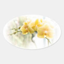Recherche de phalaenopsis autocollants Fleur