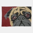 Recherche de carlin cuisine linges Chien de carlin