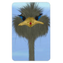 Recherche de autruches magnets Zoo