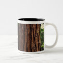 Recherche de fleur de cornouiller tasses Flore