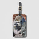 Zoek naar grappige gorilla accessoires Wilde dieren