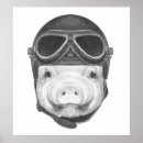 Recherche de cute pig posters Piggy