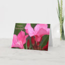 Recherche de oléandre vœux cartes Rose