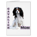 Recherche de cavalier Charles