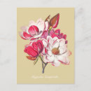 Recherche de fleur rose vintage cartes postales Floral