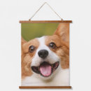 Recherche de photo de chien art Dogs