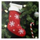 Recherche de larve carreaux Alberta