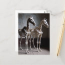 Recherche de deux chevaux cartes postales Équin