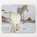 Recherche de juments tapis souris Neige