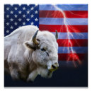Recherche de buffle posters Bison