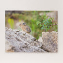 Zoek naar hamster puzzels Knaagdieren