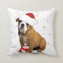 Recherche de le bouledogue coussins Noël