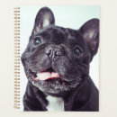 Recherche de chien de taureau bureau fournitures Animaux domestiques