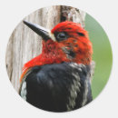 Zoek naar vergadering stickers Zwart