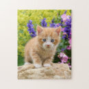 Recherche de cute puzzles Kitten