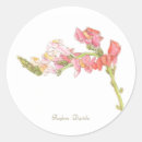 Recherche de illustration botanique autocollants Rose